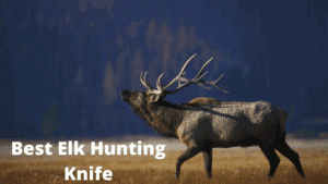 Best elk hunting knife